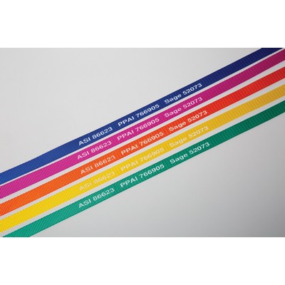 4' Neon Bright Pet Slip Leads