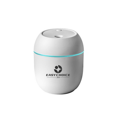 Mini USB Humidifier