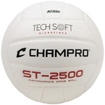 2500 TecSoft Volleyball
