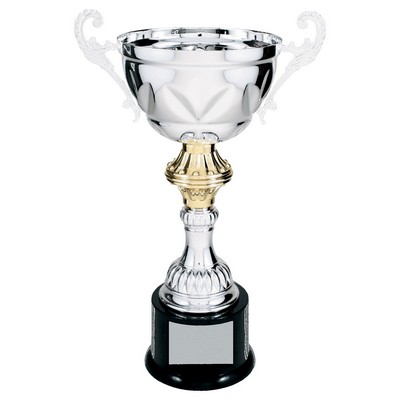Metal Cup with Handles Trophy on Plastic Base - ACU09