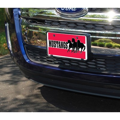 Plastic License Plates
