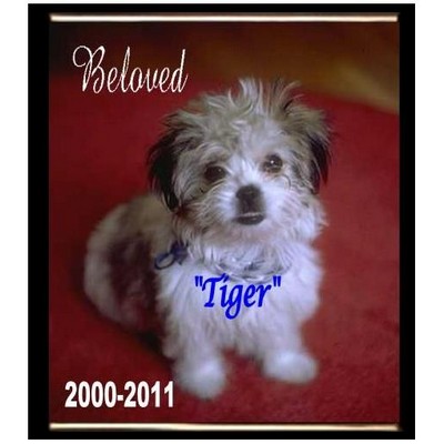 Dye Sublimated Black Finish 5" x 7" Plaque w/Cove Edge