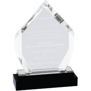 Fusion Diamond Acrylic Award with Crystal Base, Silver, 7"H