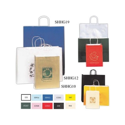 High Gloss Tinted Paper Cub Shopping Bag (8"x4.5"x10.25")