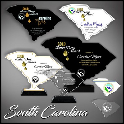 14" South Carolina Black Budget Acrylic Award