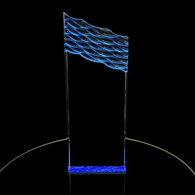 Large Wavey Top Award
