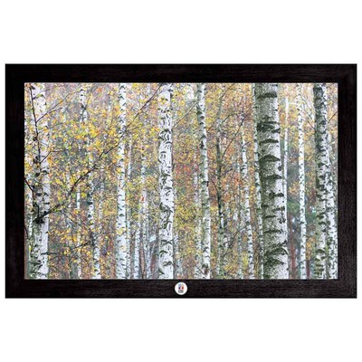 "White Forest of Birches" Art Print W/ Color Medallion