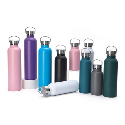25oz Double Wall Stainless Steel Sports Bottle
