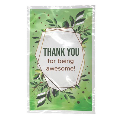 Digital Full Color 1-Sided Open Ended Clear Plastic Bag (6"x9")