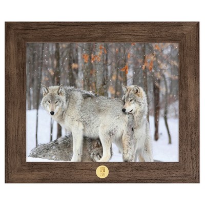 "Three Grey Wolves" Art Print W/ Gold Medallion