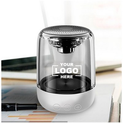 wireless Mini Speaker