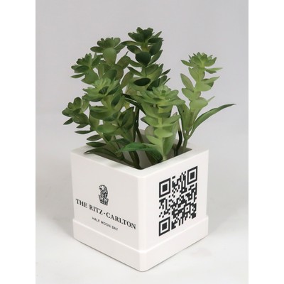 2.5" Square Desk Planter