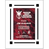 Clear Acrylic Frame Plaque w/ Red Marble Center - 8"x10"