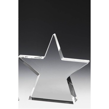 Crystal Sea Star Award 5"H