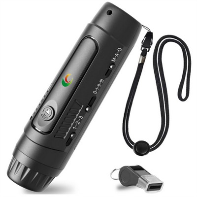 Electronic Whistle