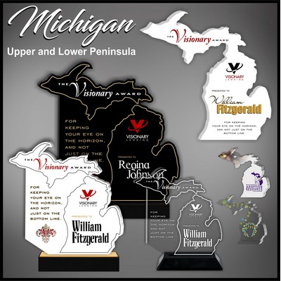 11" Michigan Black Budget Acrylic Award