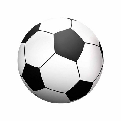 PVC Inflatable Football Family Fun