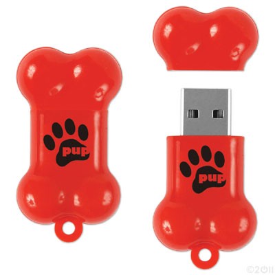 Bone Shape USB Flash Drive - 1GB