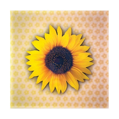 5D Signage 11.75" x 11.75"