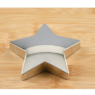 Silver Star Paperweight Award (4")