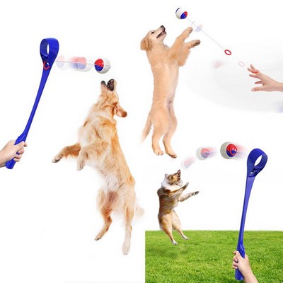 Throwing Ball for Dog