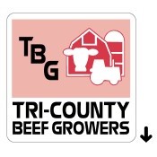 Square Best Buy Roll Labels (2"x 2")
