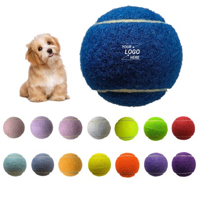 Durable Dog Fetch Toy Ball