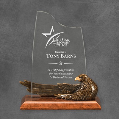 Acrylic Eagle Eye Award 9"H
