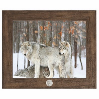 "Three Grey Wolves" Art Print W/ Silver Medallion