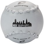 16 Chicago Softball