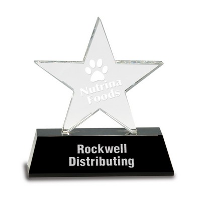 Prism Optical Crystal Award