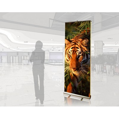 Pronto® Eco-Friendly, Ronyx Banner Stand Group