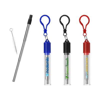 Stainless Reusable Drinking Straw with Case - Full Color