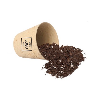 Biodegradable Peat Pots