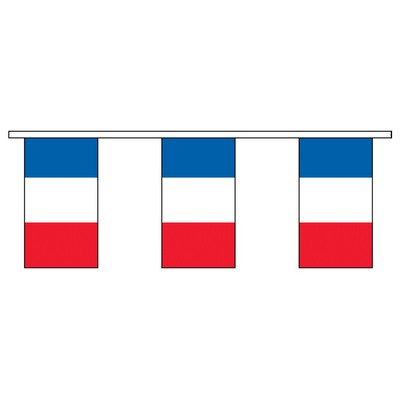60' France International Collection Display Flag