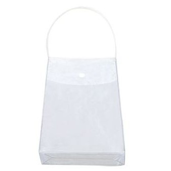 Clear Dainty Hand Bag