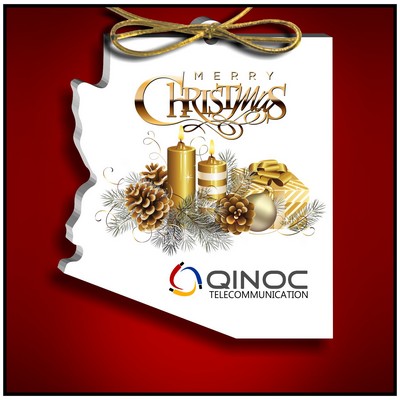 Arizona Ornament in White Acrylic