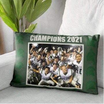 Velvet Pillow Case Cover (40'' x 20'')