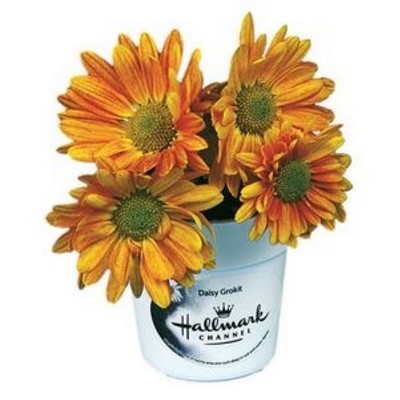 Flower Seed Kit