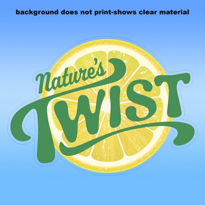 Clear Removable Glass Decals (8"X10") - Removeable. Repositionable. Custom Shape