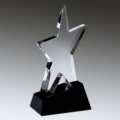 Evolving Star Award