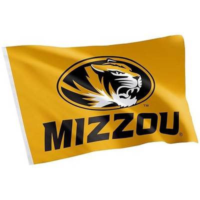 Full-Color Single Layer Polyester Flag with Stick