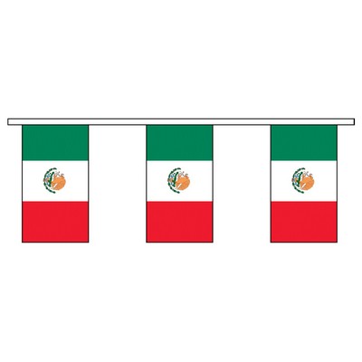 60' Mexico International Collection Display Flag