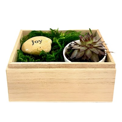 Joy Succulent Gift Box