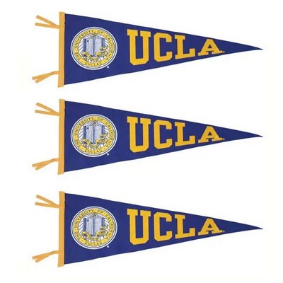 10 x 4 X-Small Pennant Flag
