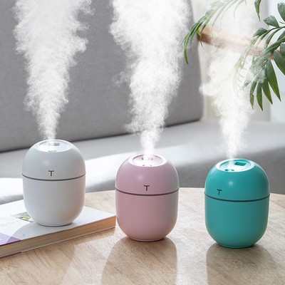 220 ML Portable Mini Humidifier