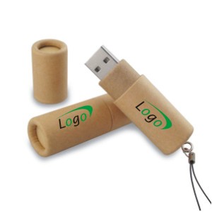 1GB Eco USB Drive 800