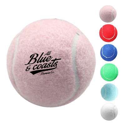 Tennis Ball Pet Fetch Toy