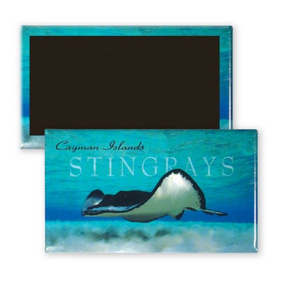 2" X 3.5" Full Color Button Style Refrigerator Magnet w/ Full Magnet Back