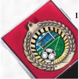 Red Lined Medal Presentation Case